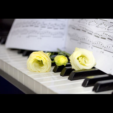 葛飾区のRAPPY音楽教室の月謝はこちらをご覧ください